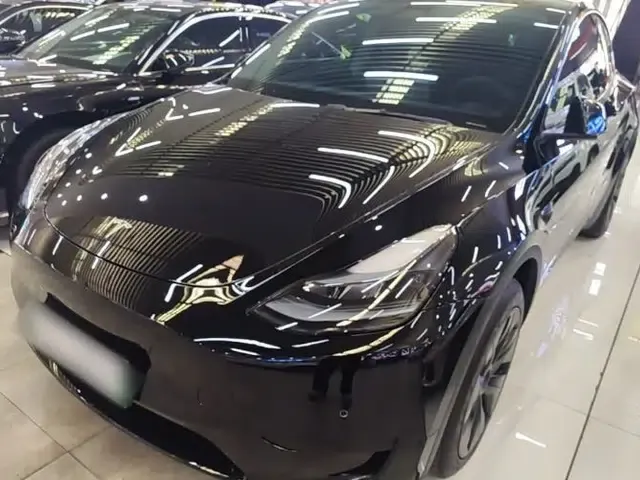 Tesla Model Y 2023 Rear-Wheel-Drive Version