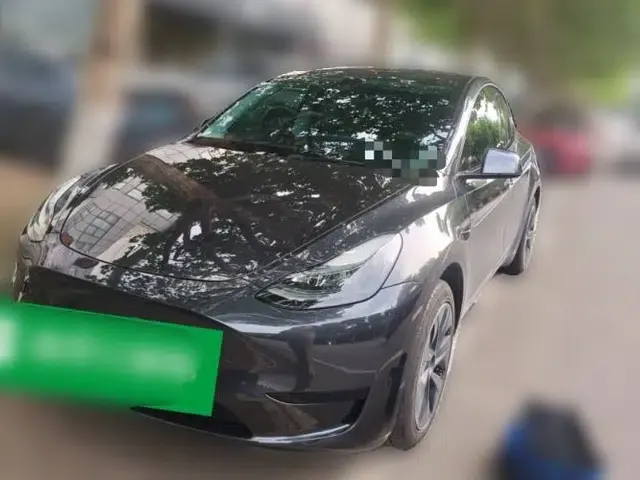 Tesla Model Y 2024 Rear-Wheel-Drive Version