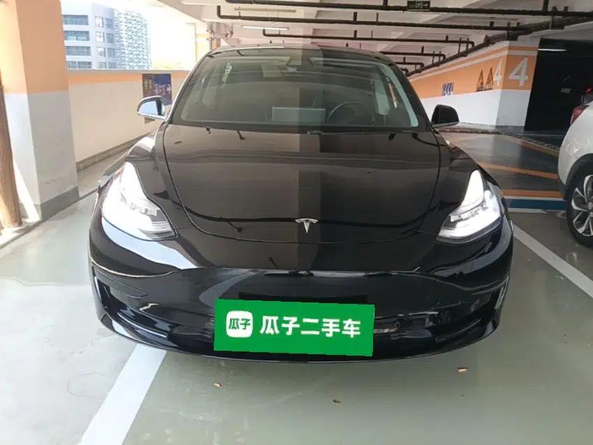 Tesla Model 3 2020 Standard Range Rear-Wheel Drive Upgraded Version — миниатюра 2