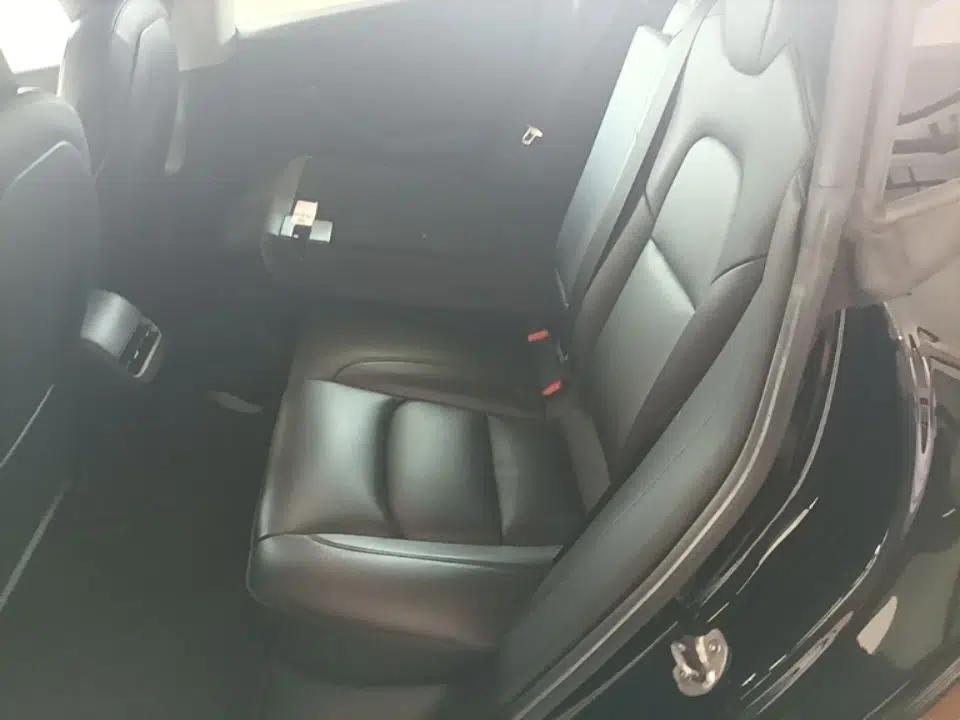 Tesla Model 3 2020 Standard Range Rear-Wheel Drive Upgraded Version — миниатюра 25