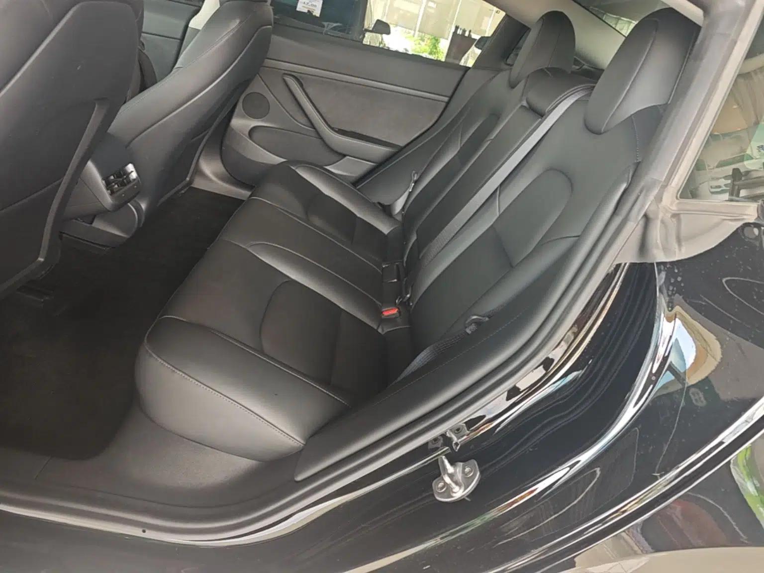 Tesla Model 3 2021 Standard Range Rear-Drive Upgraded Version — миниатюра 20