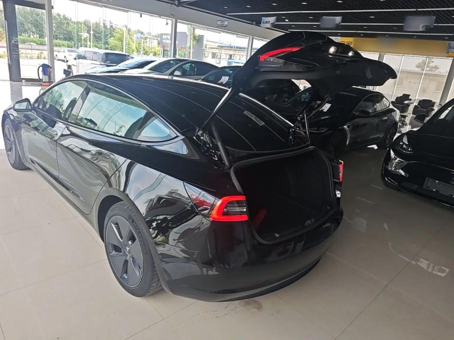 Tesla Model 3 2021 Standard Range Rear-Drive Upgraded Version — миниатюра 22