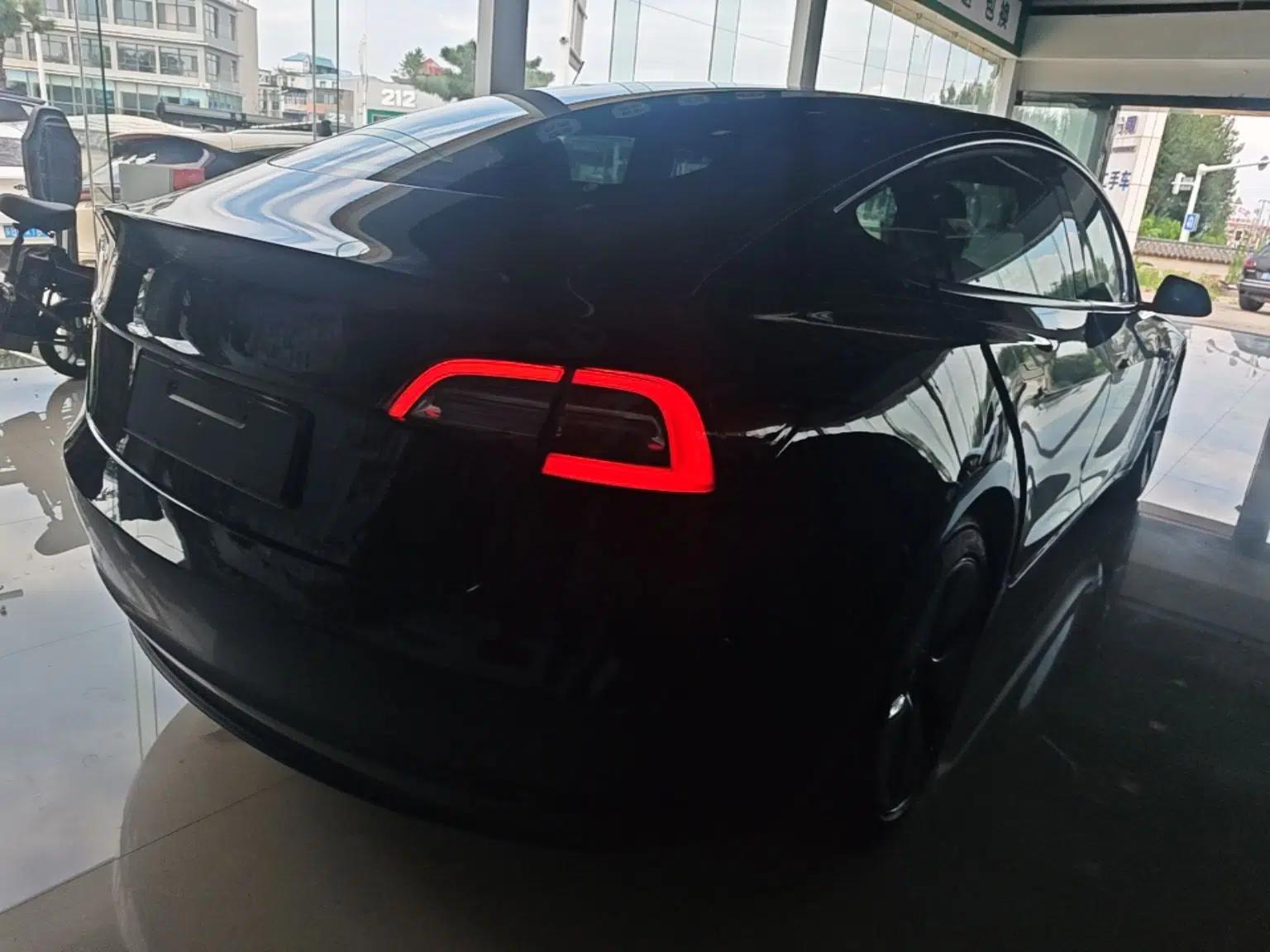 Tesla Model 3 2021 Standard Range Rear-Drive Upgraded Version — миниатюра 9