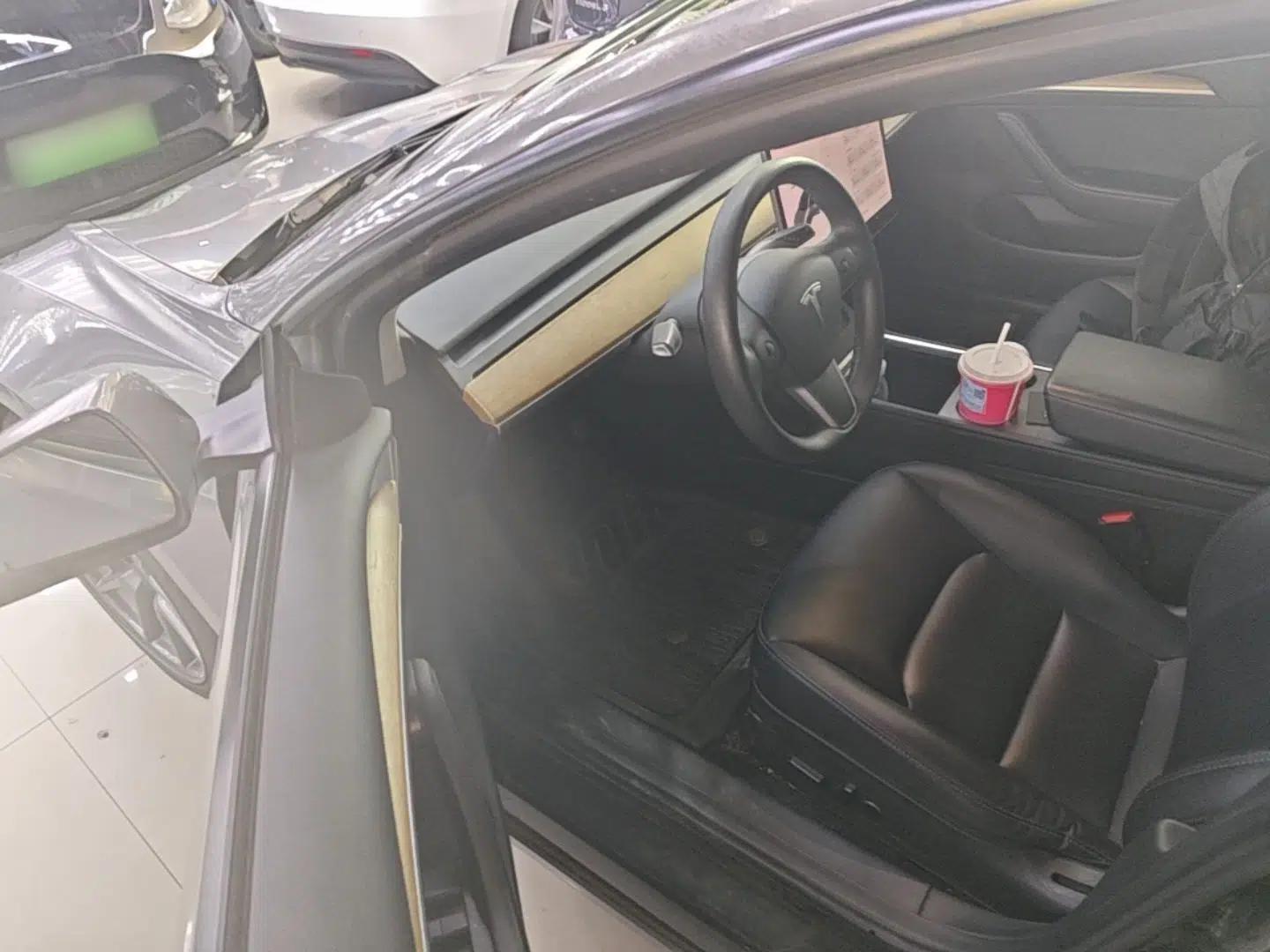 Tesla Model 3 2021 Standard Range Rear-Wheel Drive Upgraded Version 3D6 — миниатюра 18