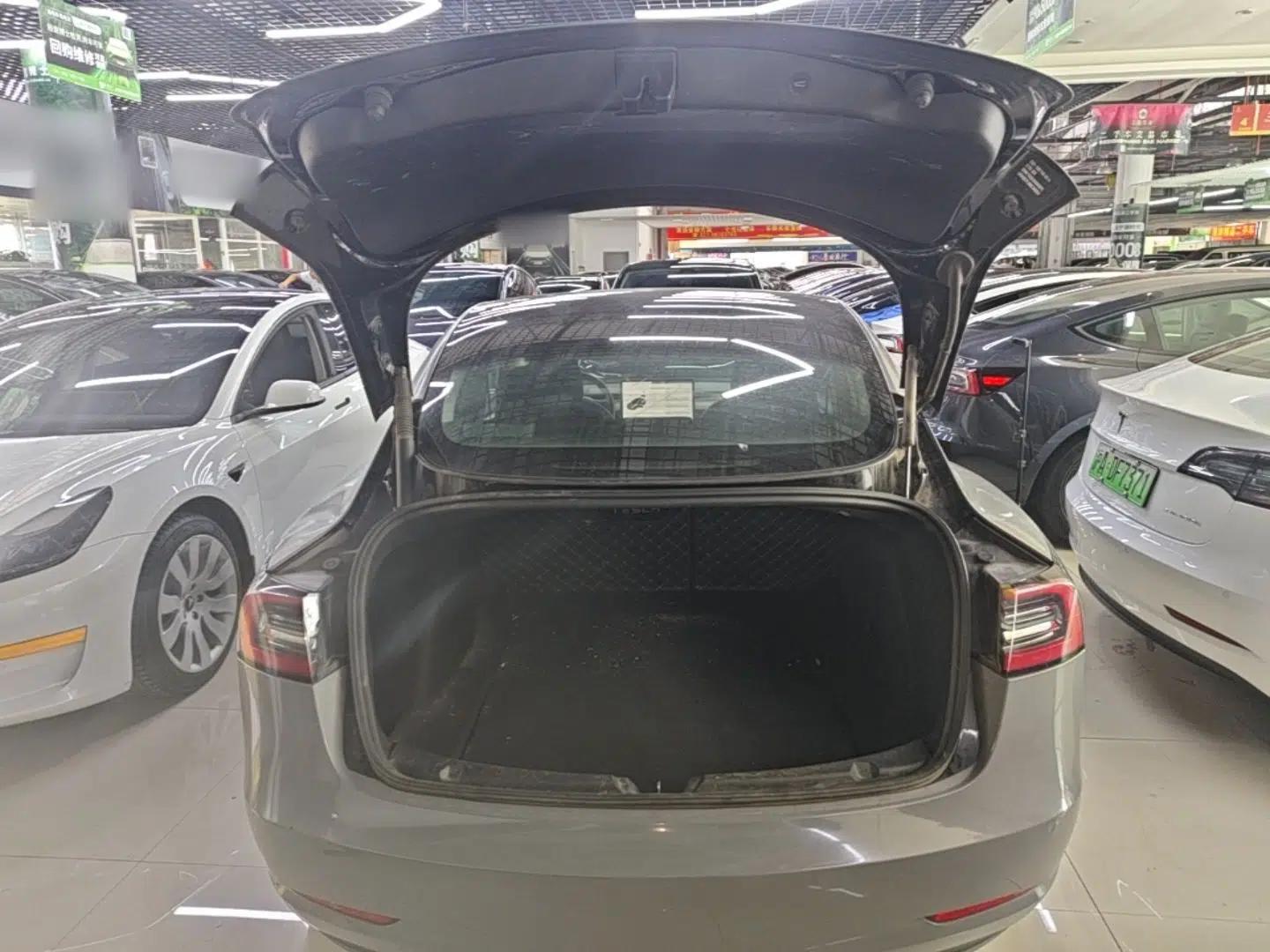 Tesla Model 3 2021 Standard Range Rear-Wheel Drive Upgraded Version 3D6 — миниатюра 22