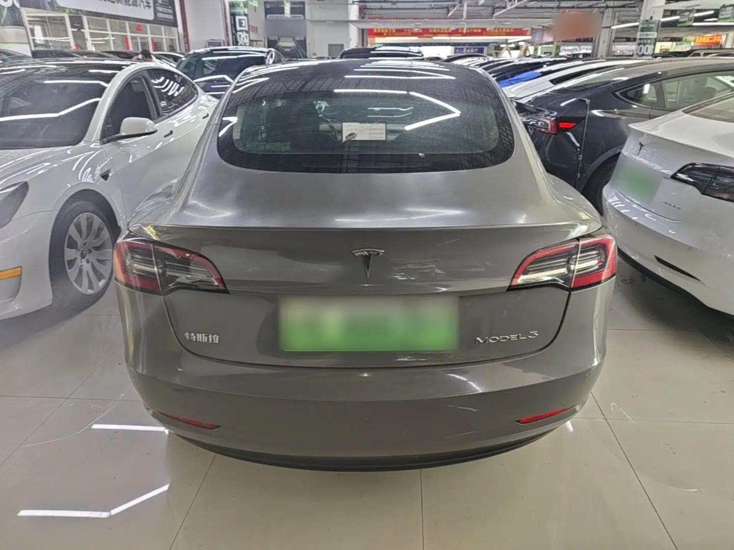 Tesla Model 3 2021 Standard Range Rear-Wheel Drive Upgraded Version 3D6 — миниатюра 5