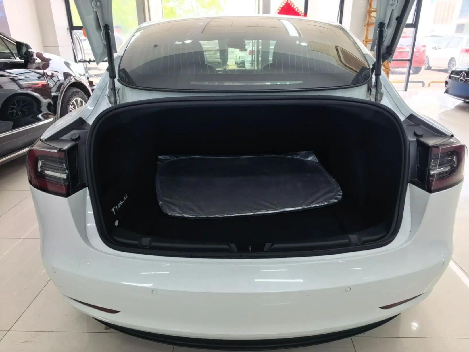 Tesla Model 3 2020 Standard Range Rear-Wheel Drive Upgraded Version — миниатюра 22