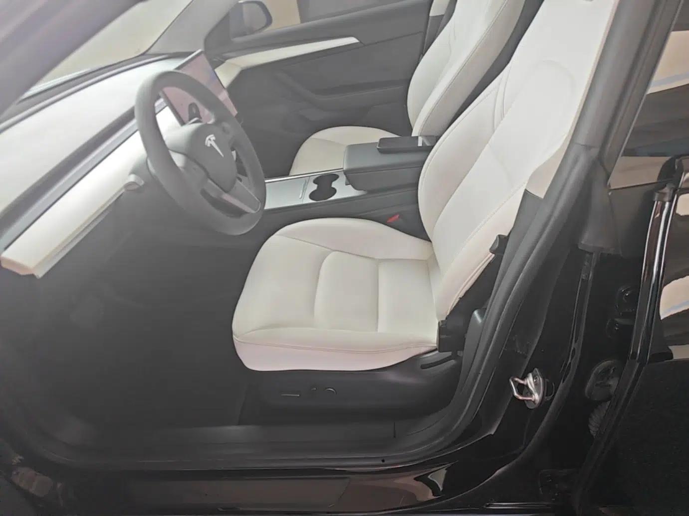Tesla Model 3 2021 Standard Range Rear-Drive Upgraded Version — миниатюра 22