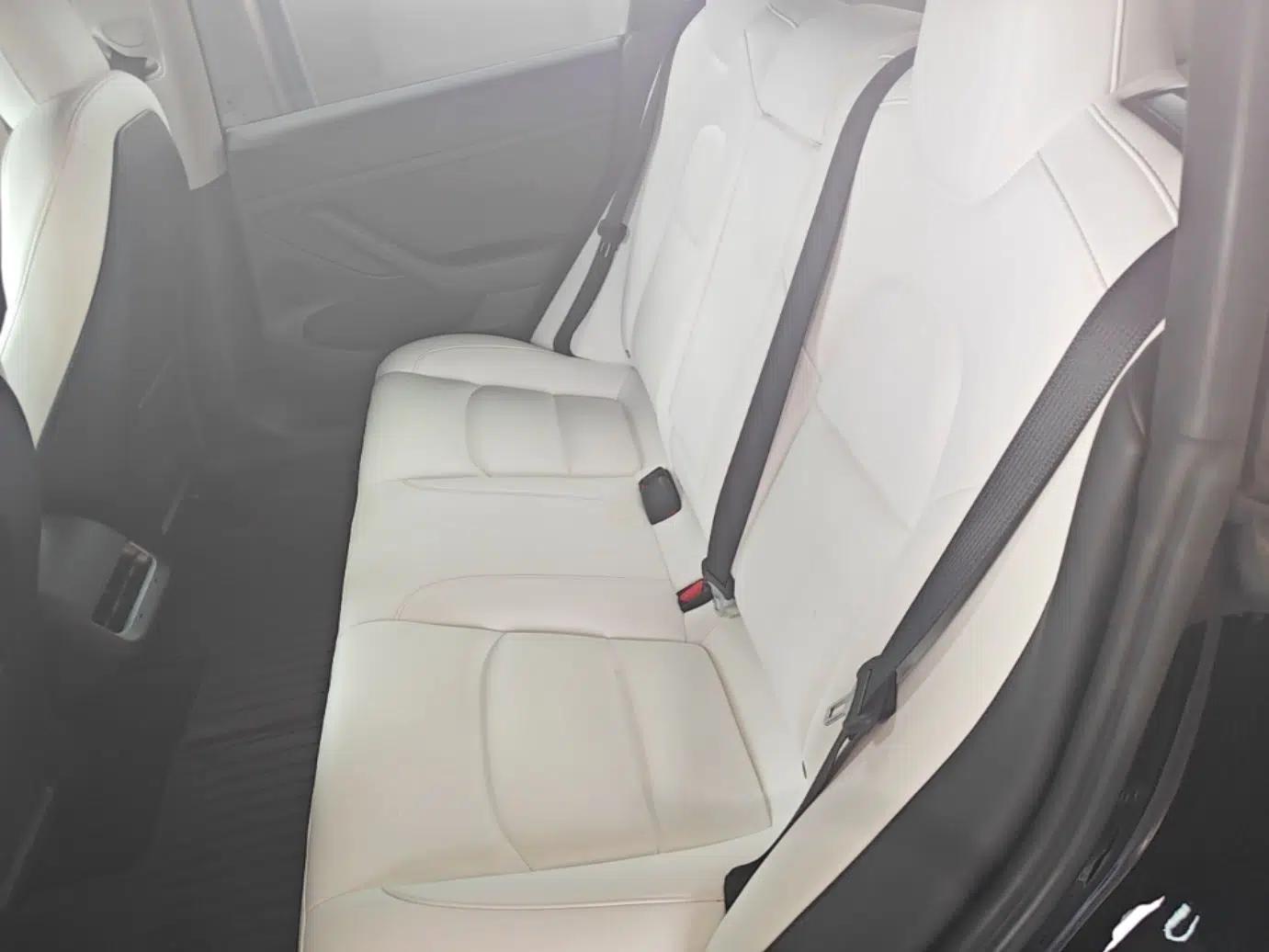 Tesla Model 3 2021 Standard Range Rear-Drive Upgraded Version — миниатюра 25