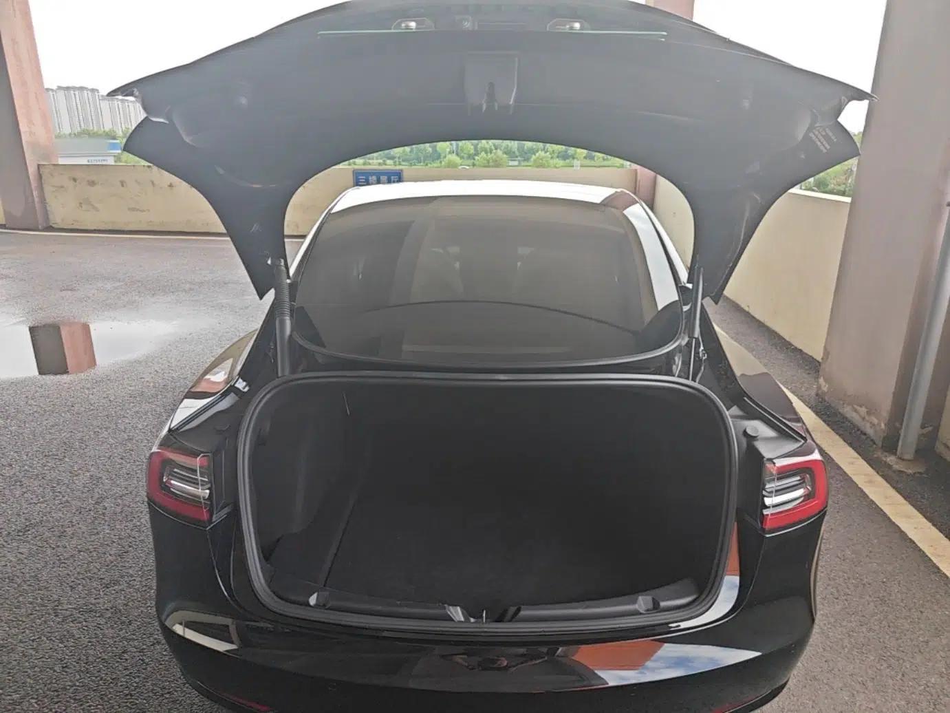 Tesla Model 3 2021 Standard Range Rear-Drive Upgraded Version — миниатюра 27