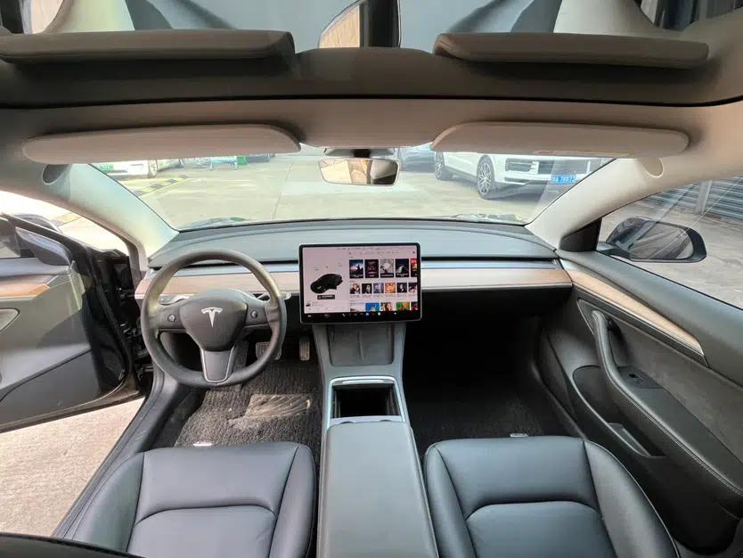 Tesla Model 3 2021 Standard Range Rear-Drive Upgraded Version — миниатюра 25