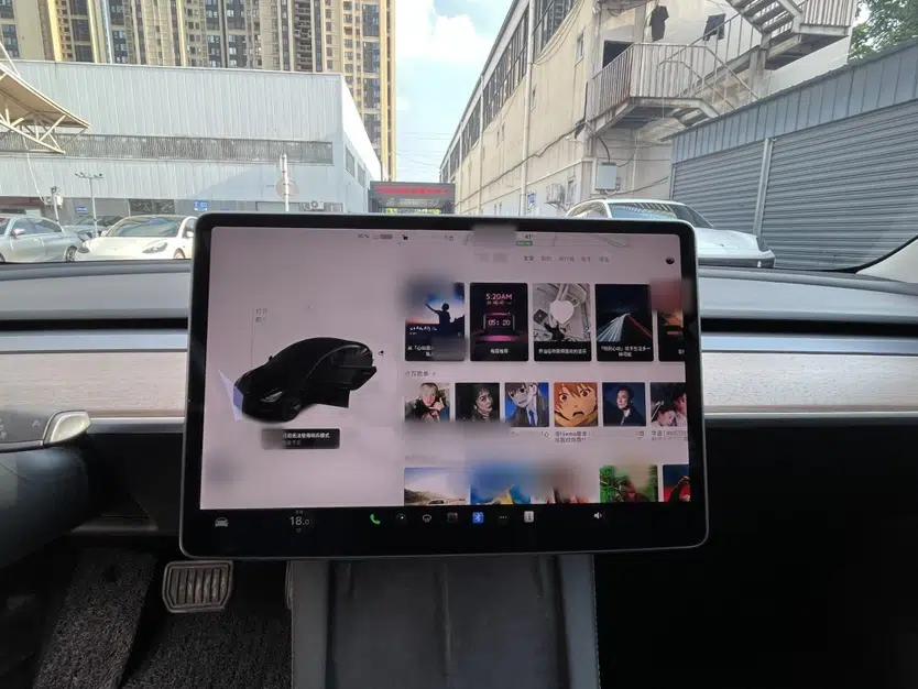 Tesla Model 3 2021 Standard Range Rear-Drive Upgraded Version — миниатюра 26