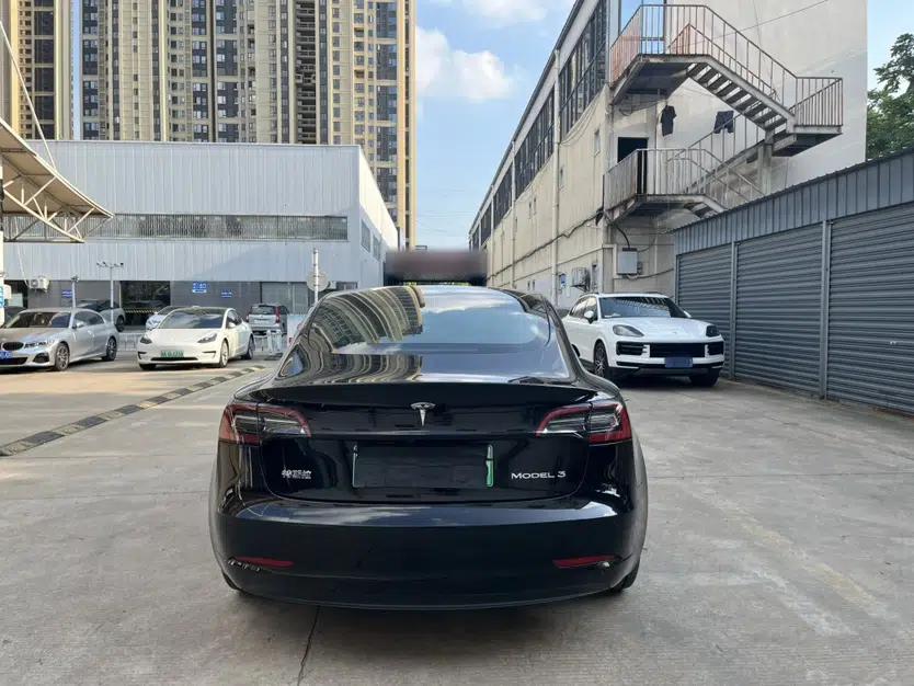 Tesla Model 3 2021 Standard Range Rear-Drive Upgraded Version — миниатюра 7