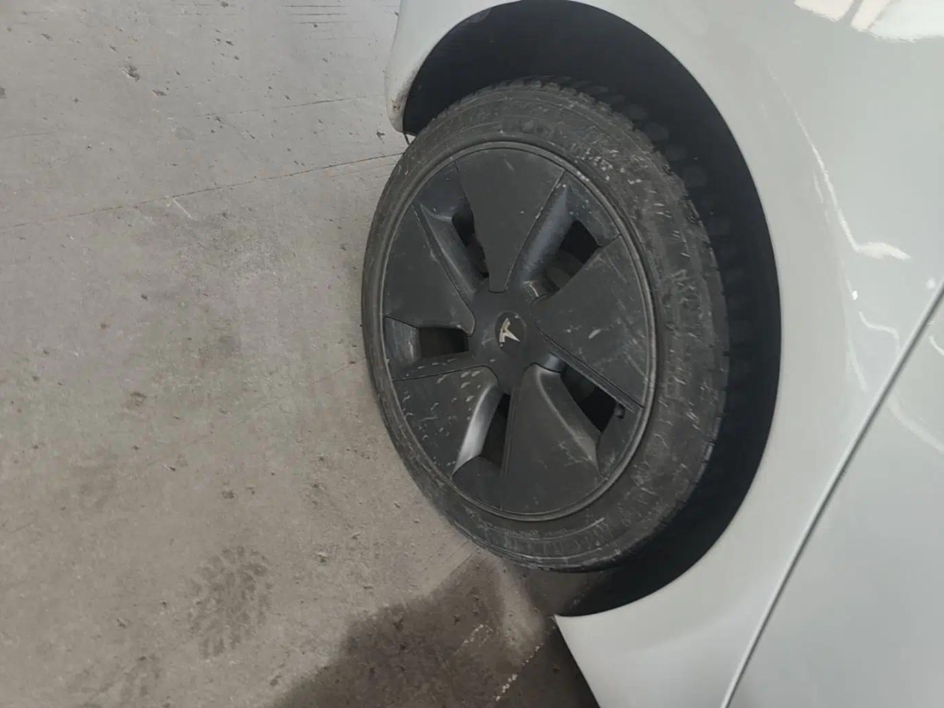 Tesla Model 3 2021 Standard Range Rear-Drive Upgraded Version — миниатюра 11
