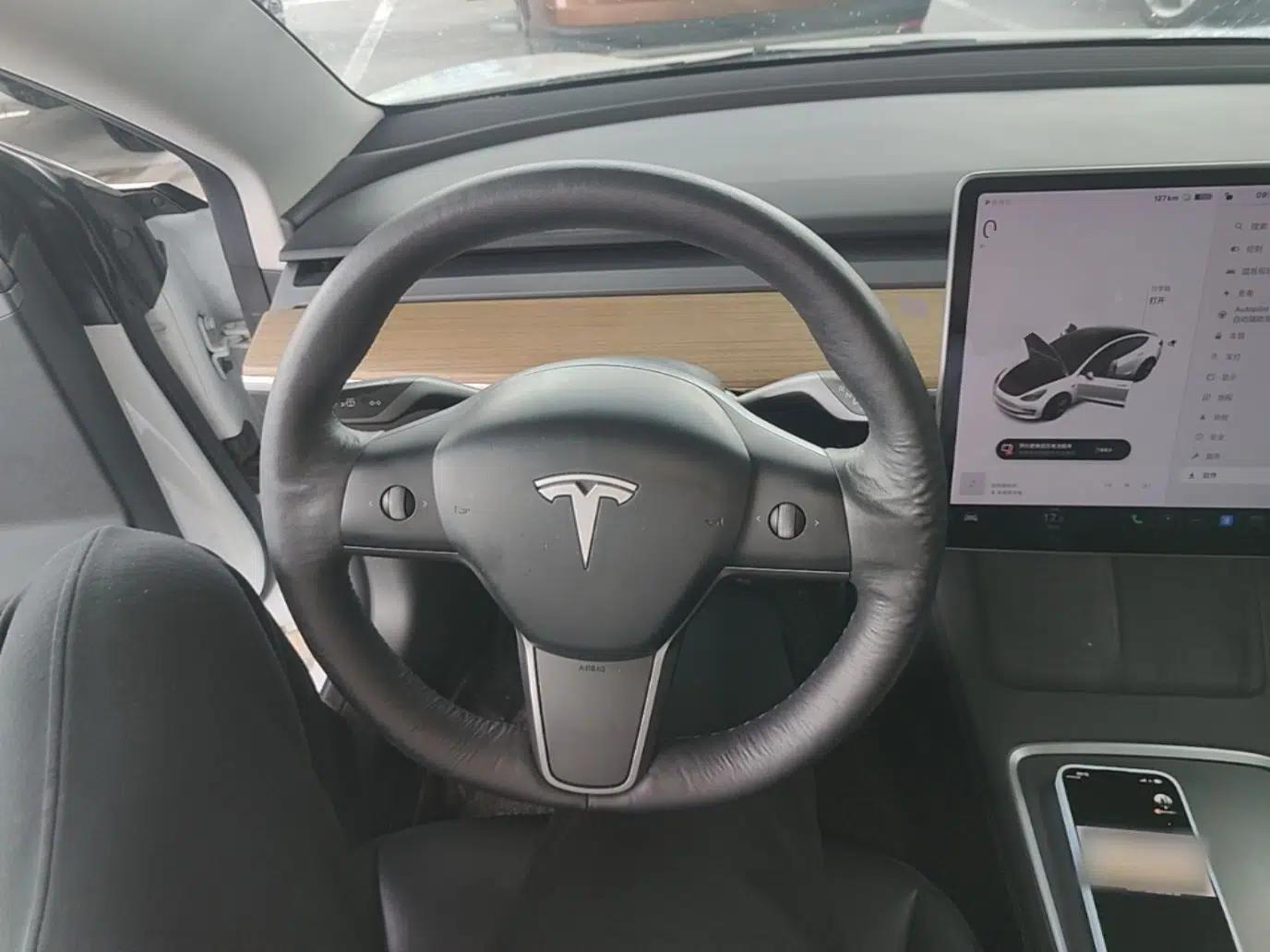 Tesla Model 3 2021 Standard Range Rear-Drive Upgraded Version — миниатюра 13