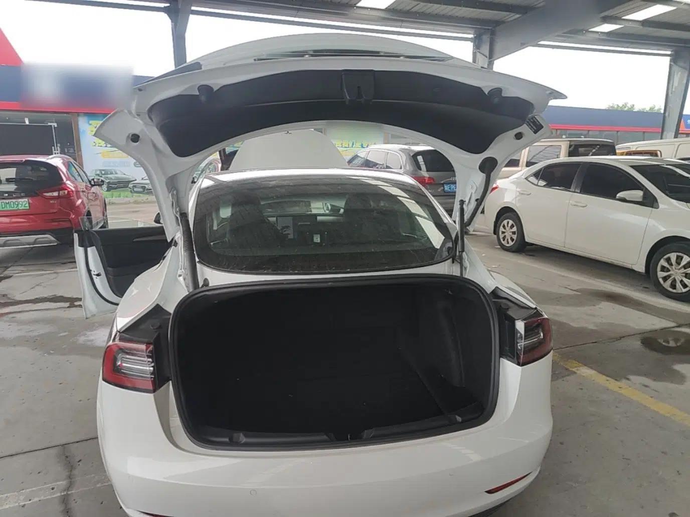 Tesla Model 3 2021 Standard Range Rear-Drive Upgraded Version — миниатюра 22