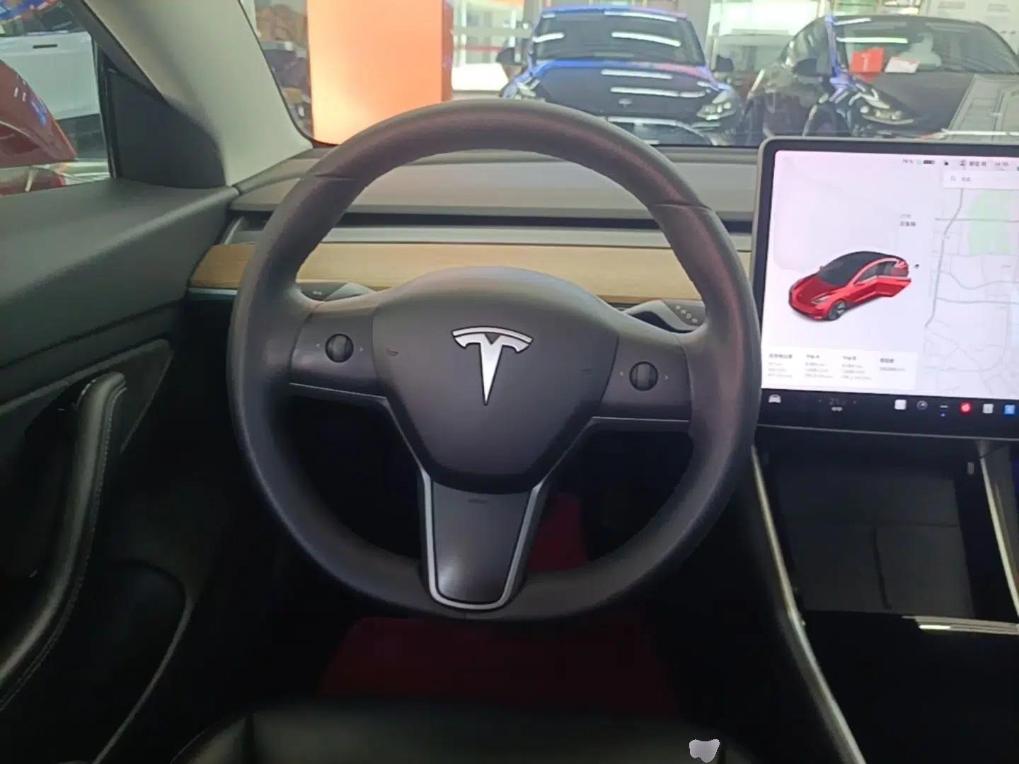 Tesla Model 3 2020 Revised Version Standard Range Rear-Wheel Drive – Upgraded Edition — миниатюра 13
