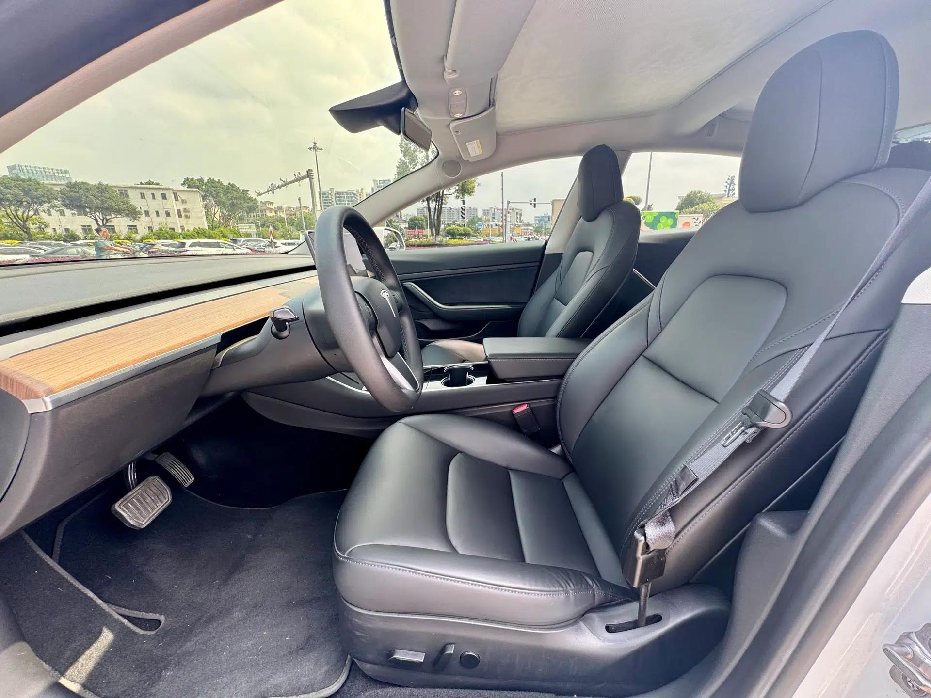 Tesla Model 3 2020 Revised Version Standard Range Rear-Wheel Drive – Upgraded Edition — миниатюра 11