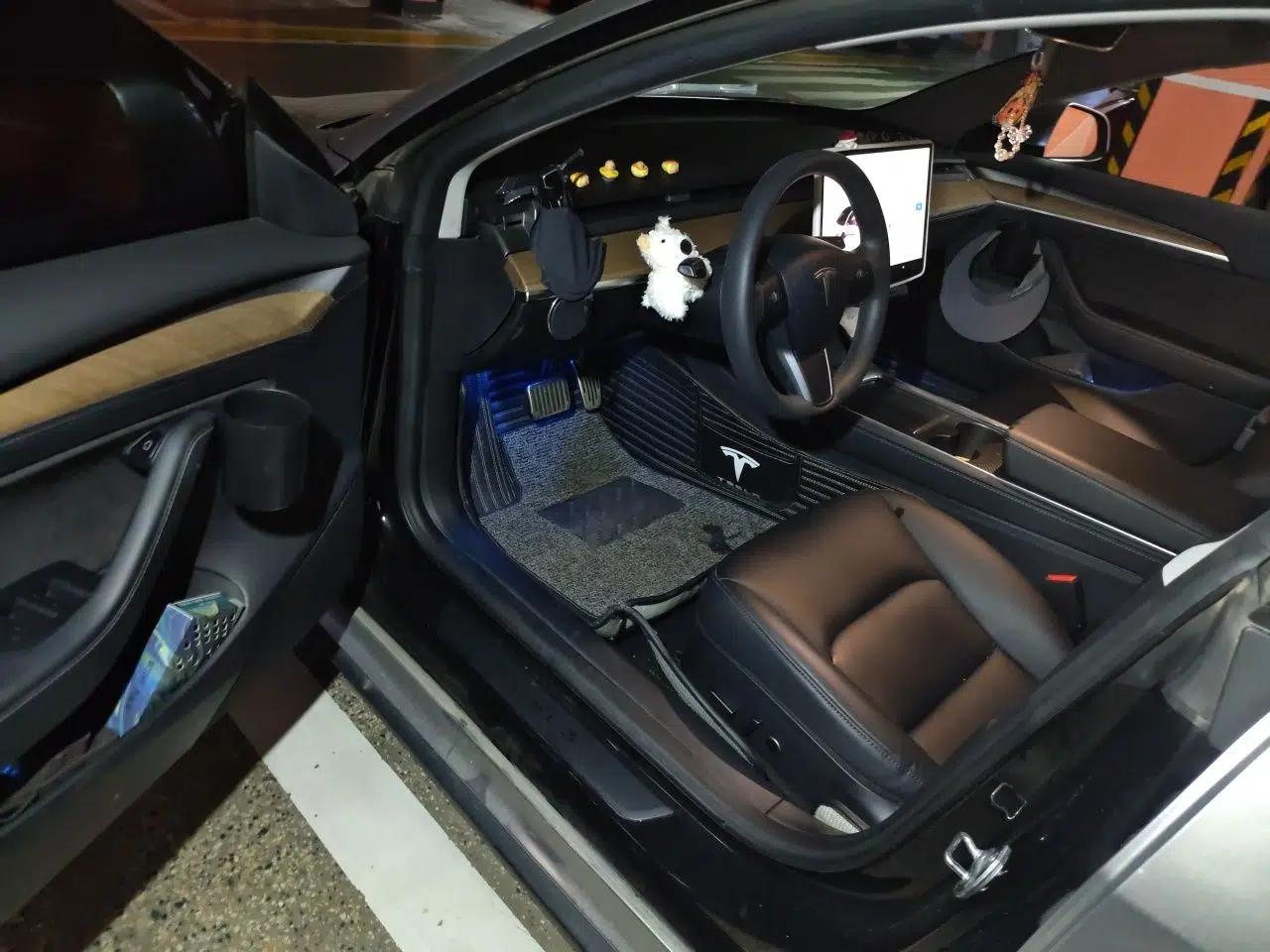Tesla Model 3 2021 Standard Range Rear-Drive Upgraded Version — миниатюра 16