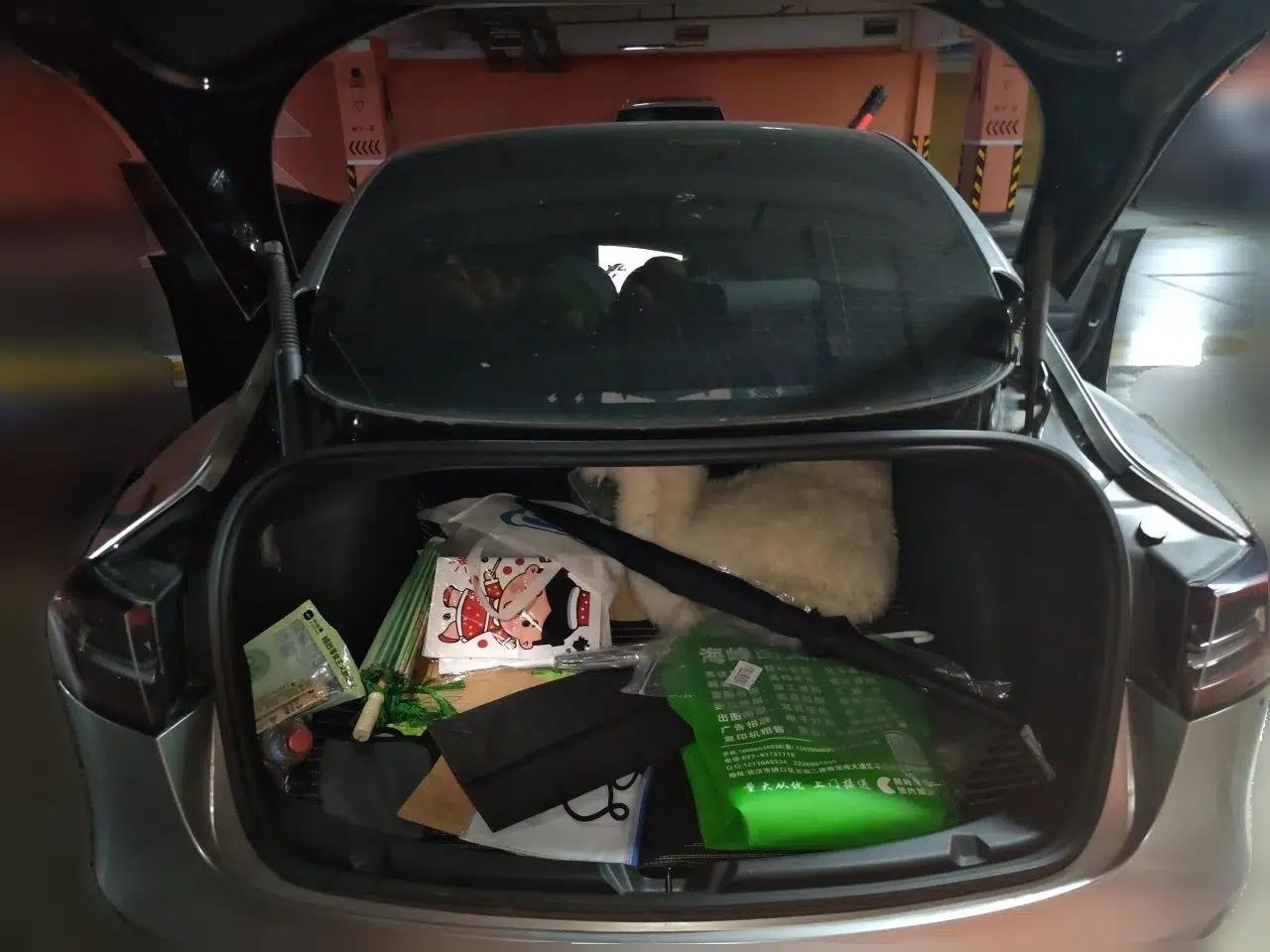 Tesla Model 3 2021 Standard Range Rear-Drive Upgraded Version — миниатюра 19