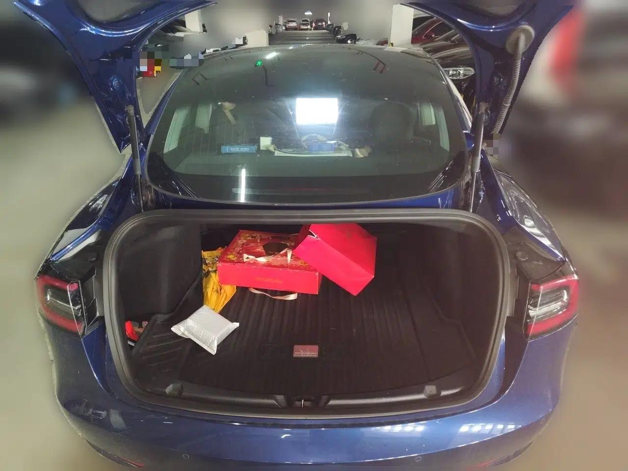 Tesla Model 3 2019 Standard Range Rear-Drive Upgraded Version — миниатюра 19