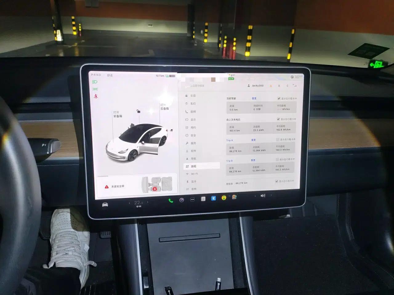 Tesla Model 3 2019 Standard Range Rear-Drive Upgraded Version — миниатюра 13
