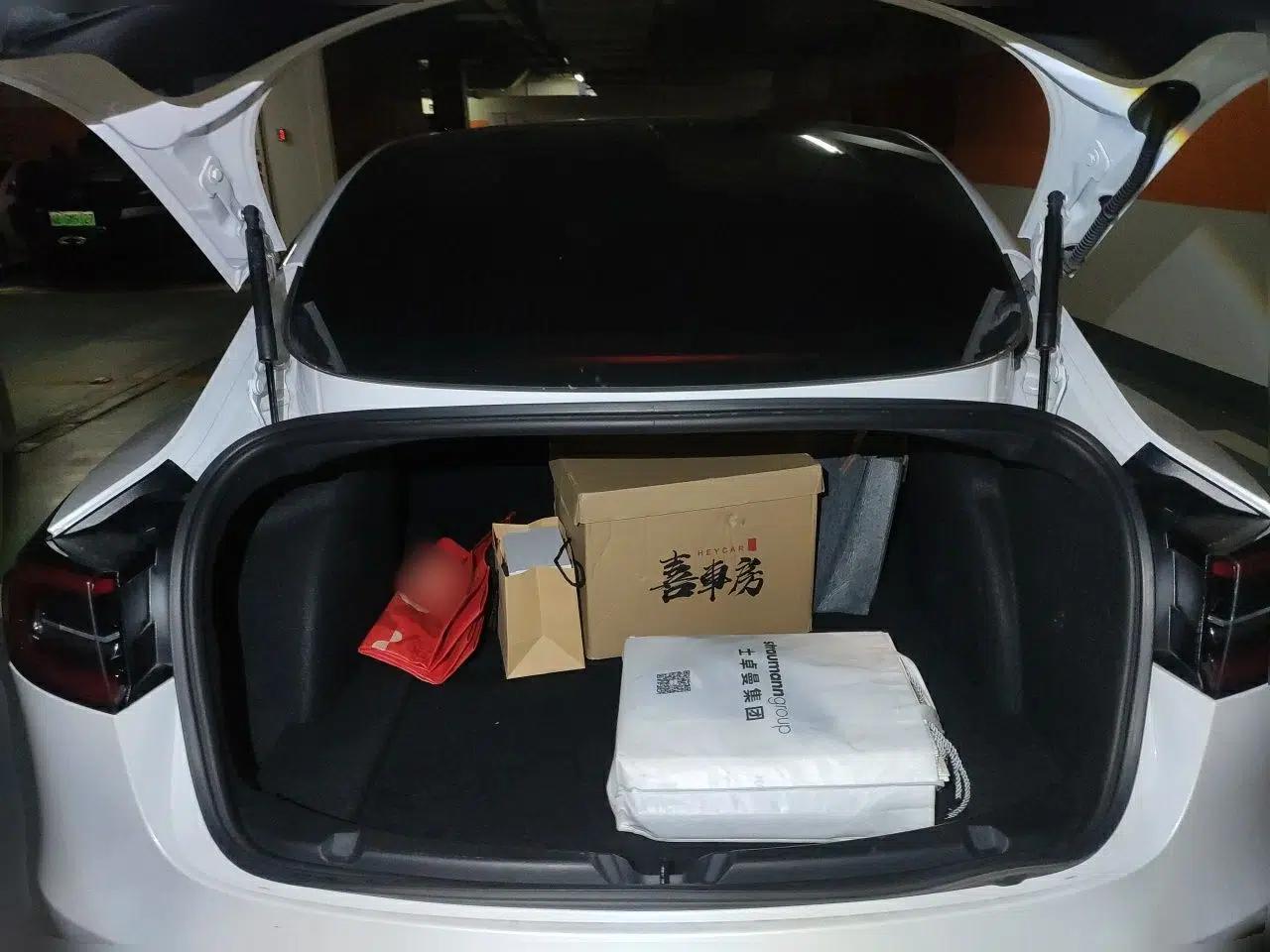 Tesla Model 3 2019 Standard Range Rear-Drive Upgraded Version — миниатюра 19