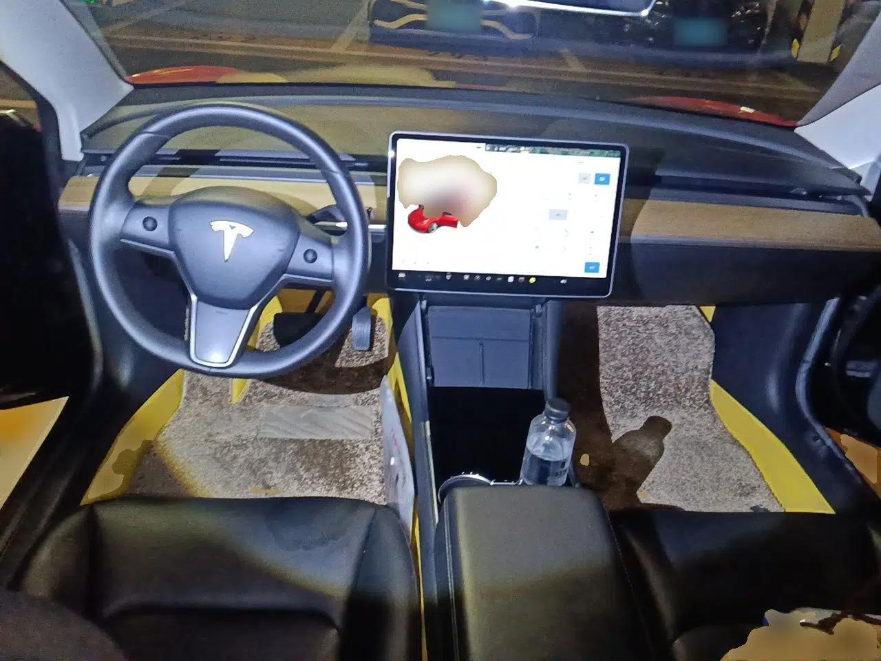 Tesla Model 3 2020 Standard Range Rear-Wheel Drive Upgraded Version — миниатюра 9