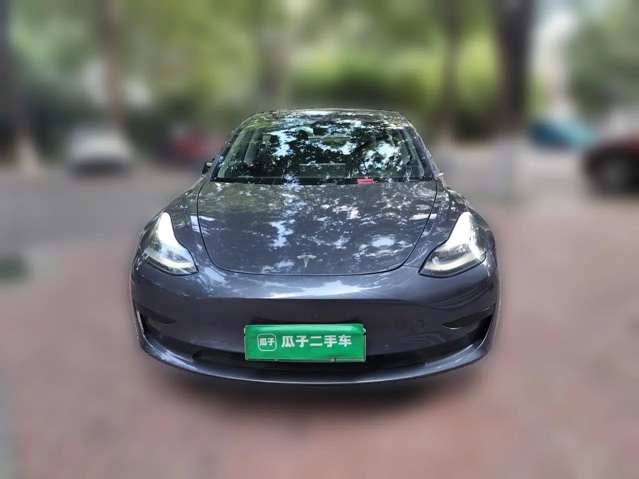 Tesla Model 3 2019 Standard Range Rear-Wheel Drive Upgraded Version (60 kWh) — миниатюра 2