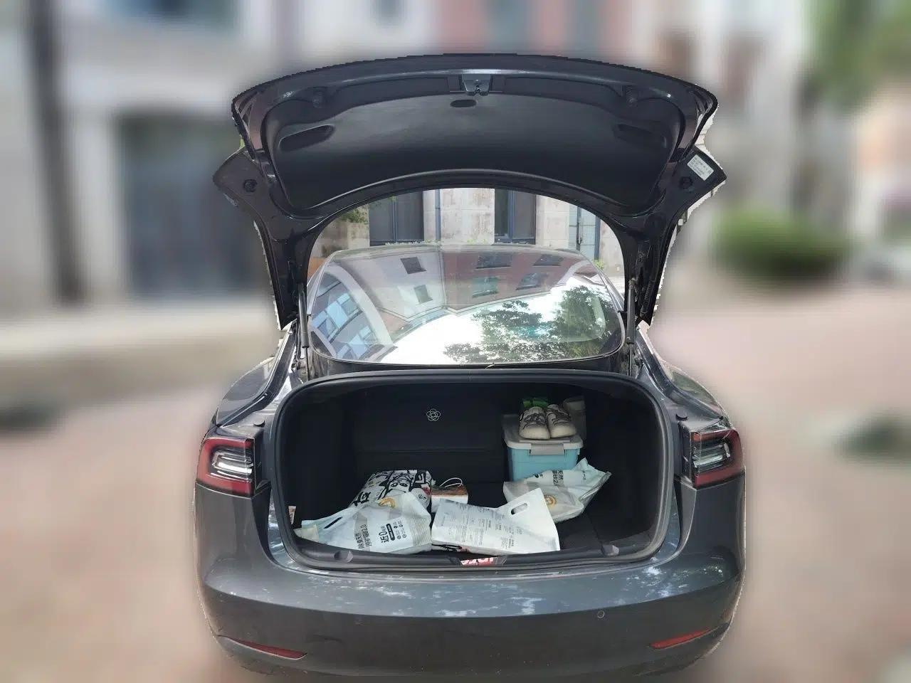 Tesla Model 3 2019 Standard Range Rear-Wheel Drive Upgraded Version (60 kWh) — миниатюра 19