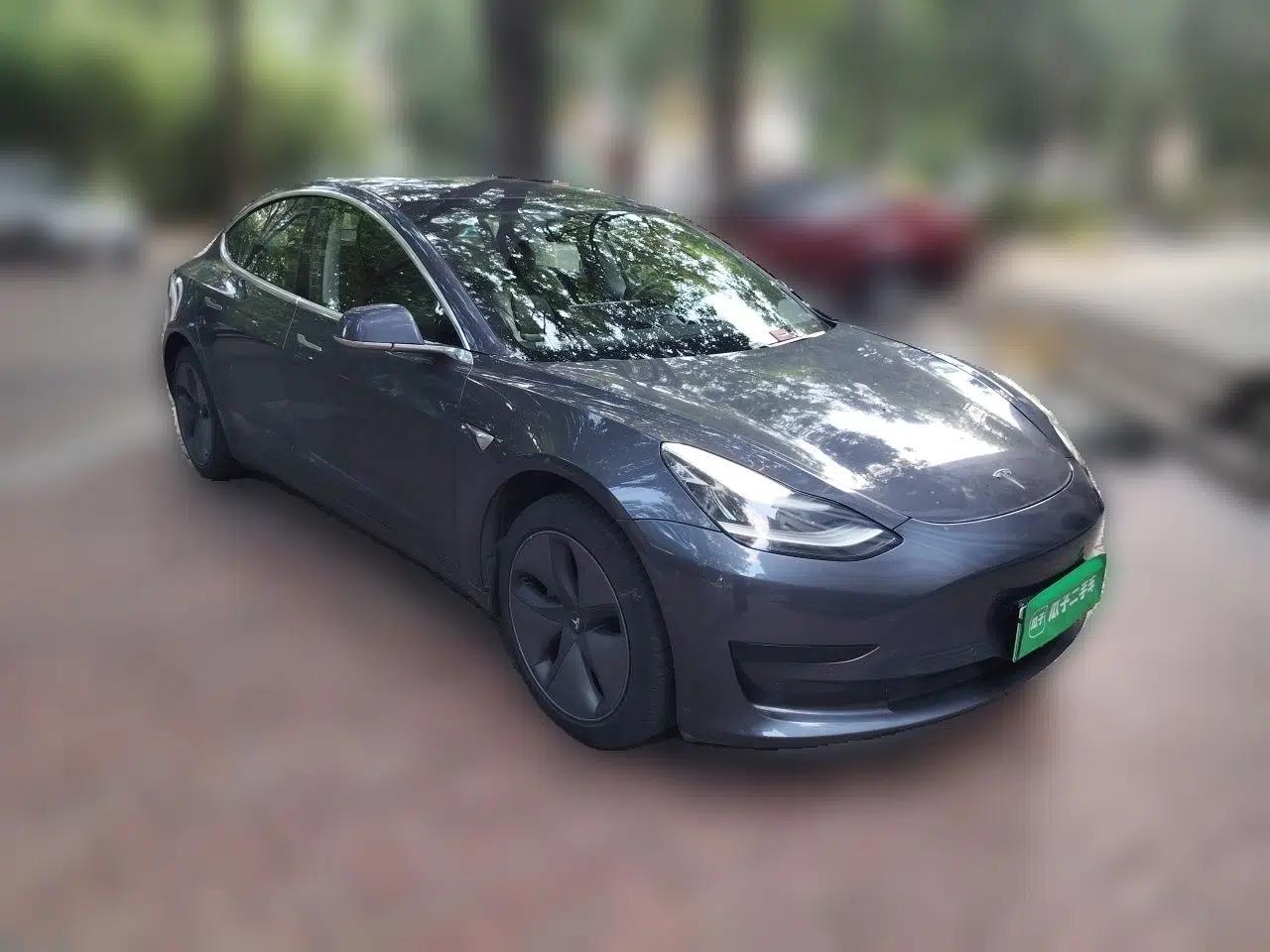 Tesla Model 3 2019 Standard Range Rear-Wheel Drive Upgraded Version (60 kWh) — миниатюра 3