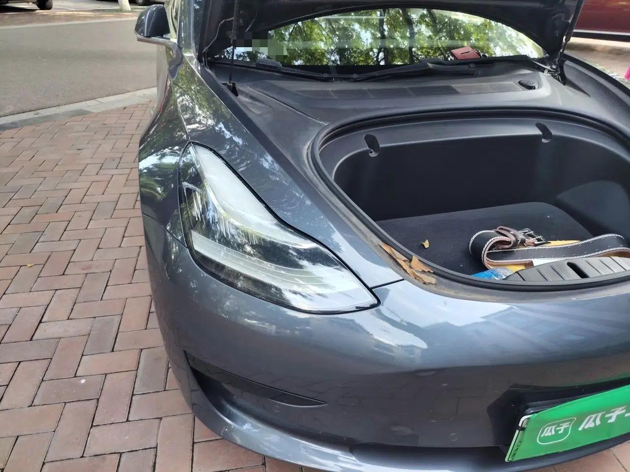 Tesla Model 3 2019 Standard Range Rear-Wheel Drive Upgraded Version (60 kWh) — миниатюра 7