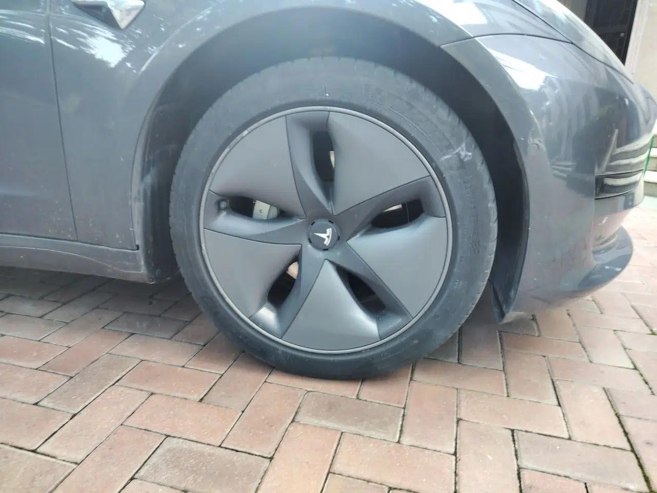 Tesla Model 3 2019 Standard Range Rear-Wheel Drive Upgraded Version (60 kWh) — миниатюра 8