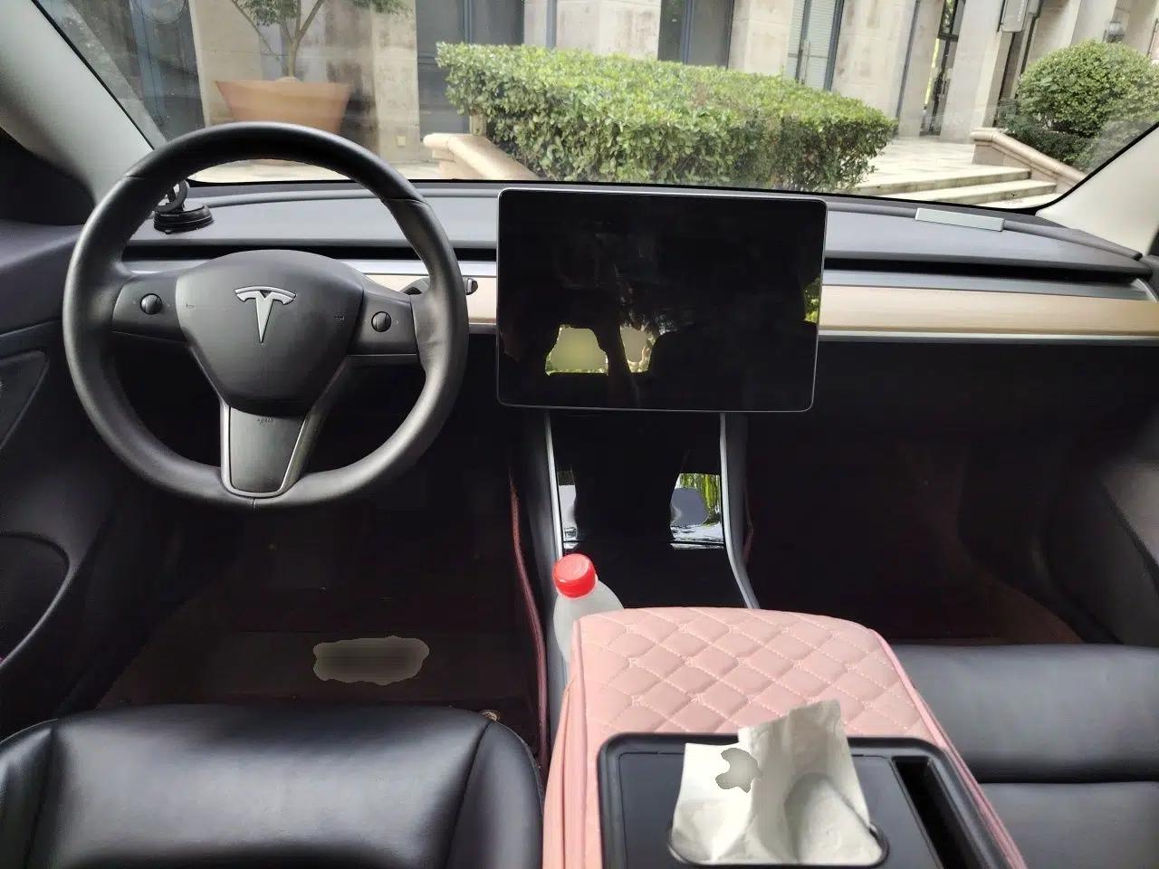 Tesla Model 3 2019 Standard Range Rear-Wheel Drive Upgraded Version (60 kWh) — миниатюра 9