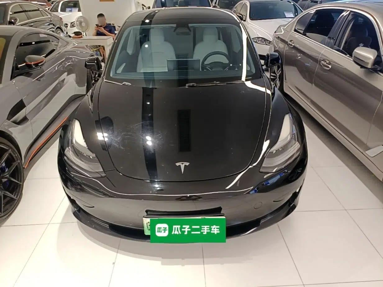 Tesla Model 3 2021 Revised Version Standard Range Rear-Wheel Drive Upgraded Edition 3D1 — миниатюра 2