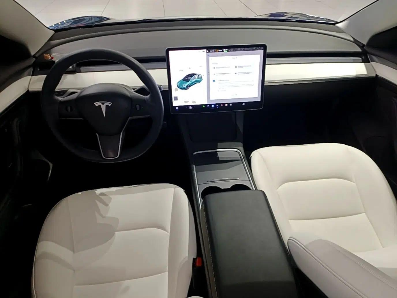 Tesla Model 3 2021 Revised Version Standard Range Rear-Wheel Drive Upgraded Edition 3D1 — миниатюра 12