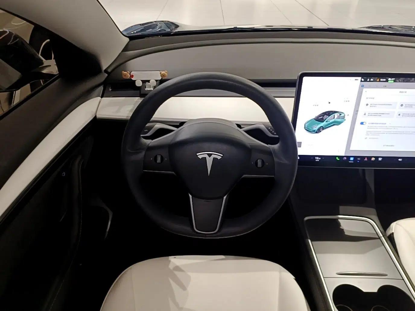 Tesla Model 3 2021 Revised Version Standard Range Rear-Wheel Drive Upgraded Edition 3D1 — миниатюра 13