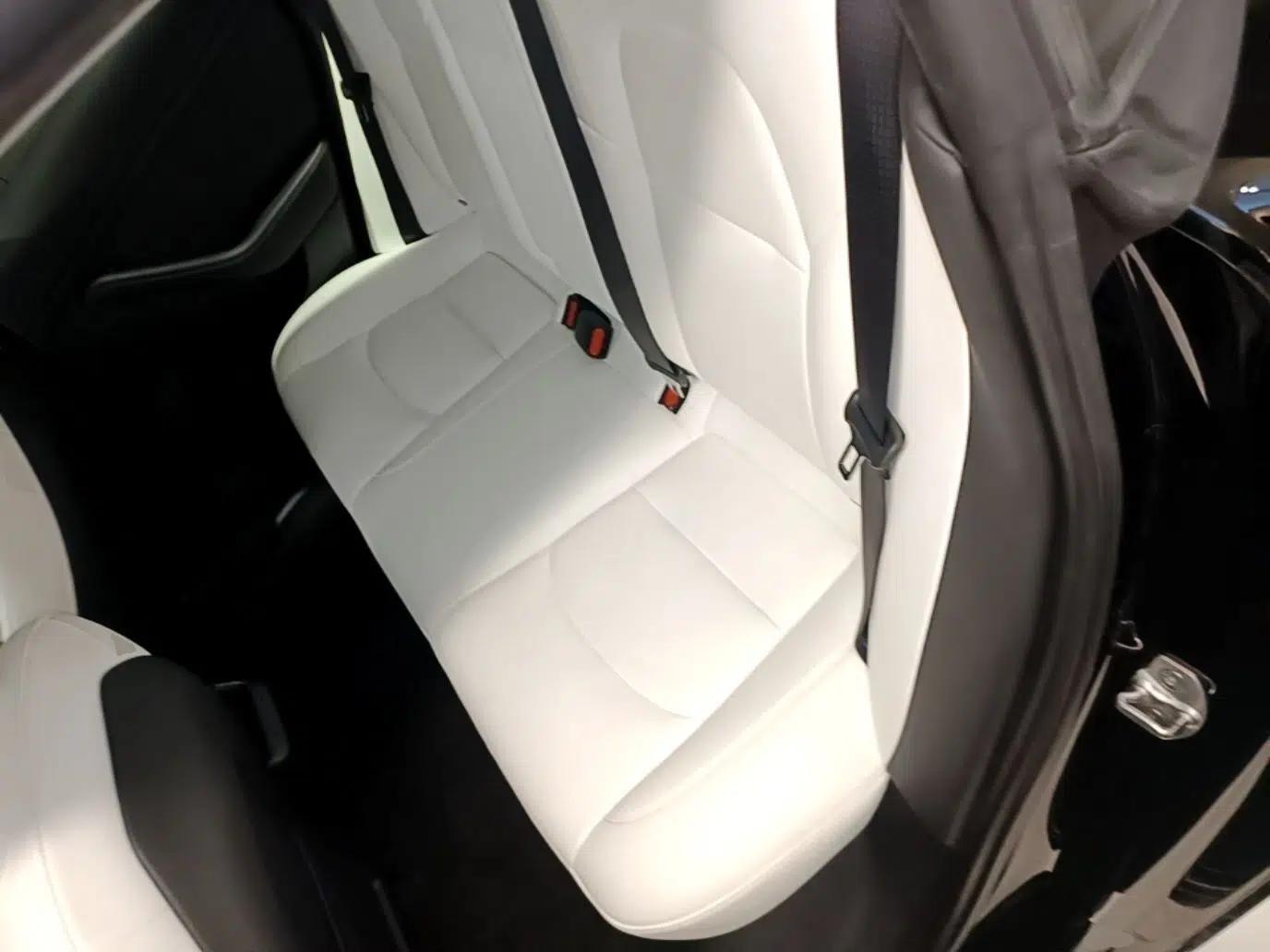 Tesla Model 3 2021 Revised Version Standard Range Rear-Wheel Drive Upgraded Edition 3D1 — миниатюра 20