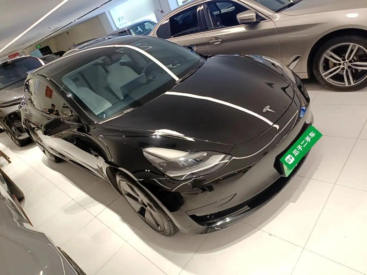 Tesla Model 3 2021 Revised Version Standard Range Rear-Wheel Drive Upgraded Edition 3D1 — миниатюра 3