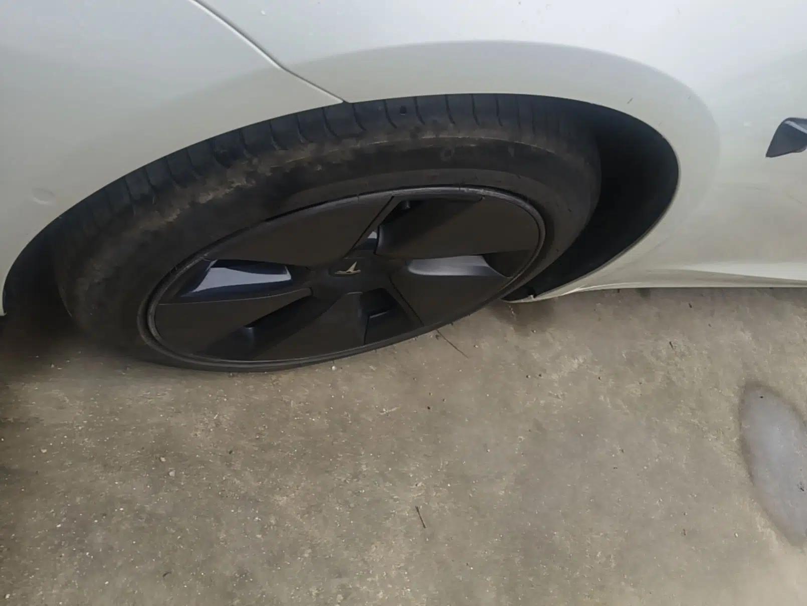 Tesla Model 3 2022 Rear-Wheel-Drive Version — миниатюра 10
