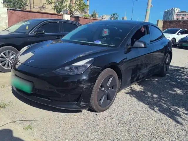 Tesla Model 3 2022 Rear-Wheel-Drive Version
