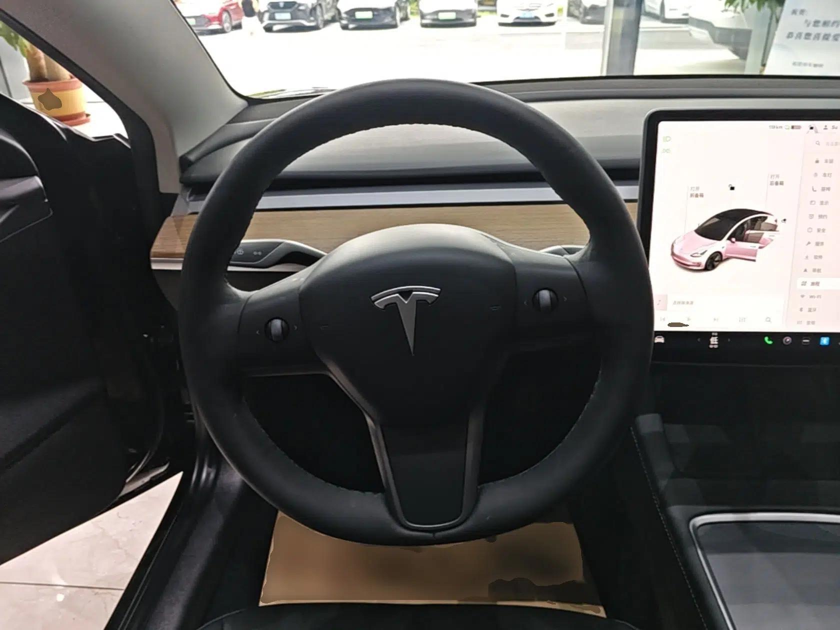 Tesla Model 3 2021 Standard Range Rear-Drive Upgraded Version — миниатюра 13