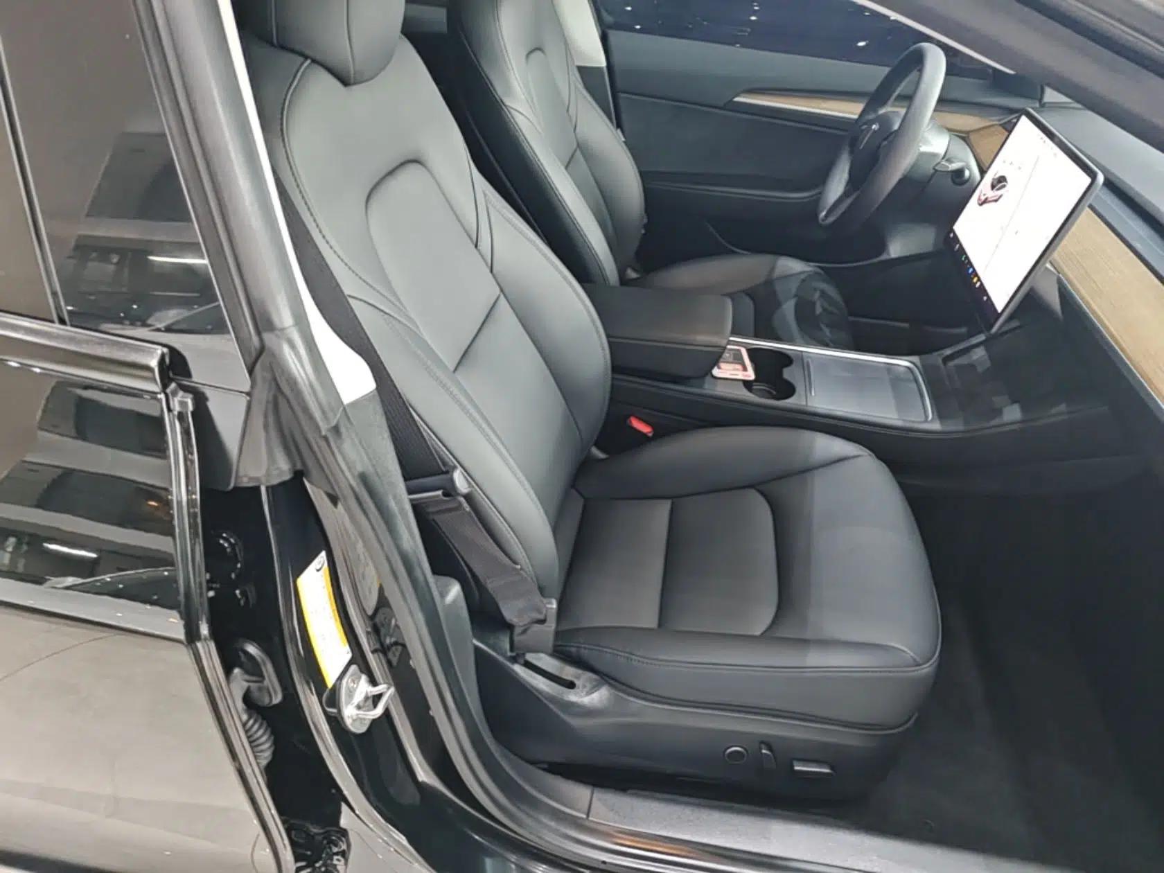 Tesla Model 3 2021 Standard Range Rear-Drive Upgraded Version — миниатюра 19