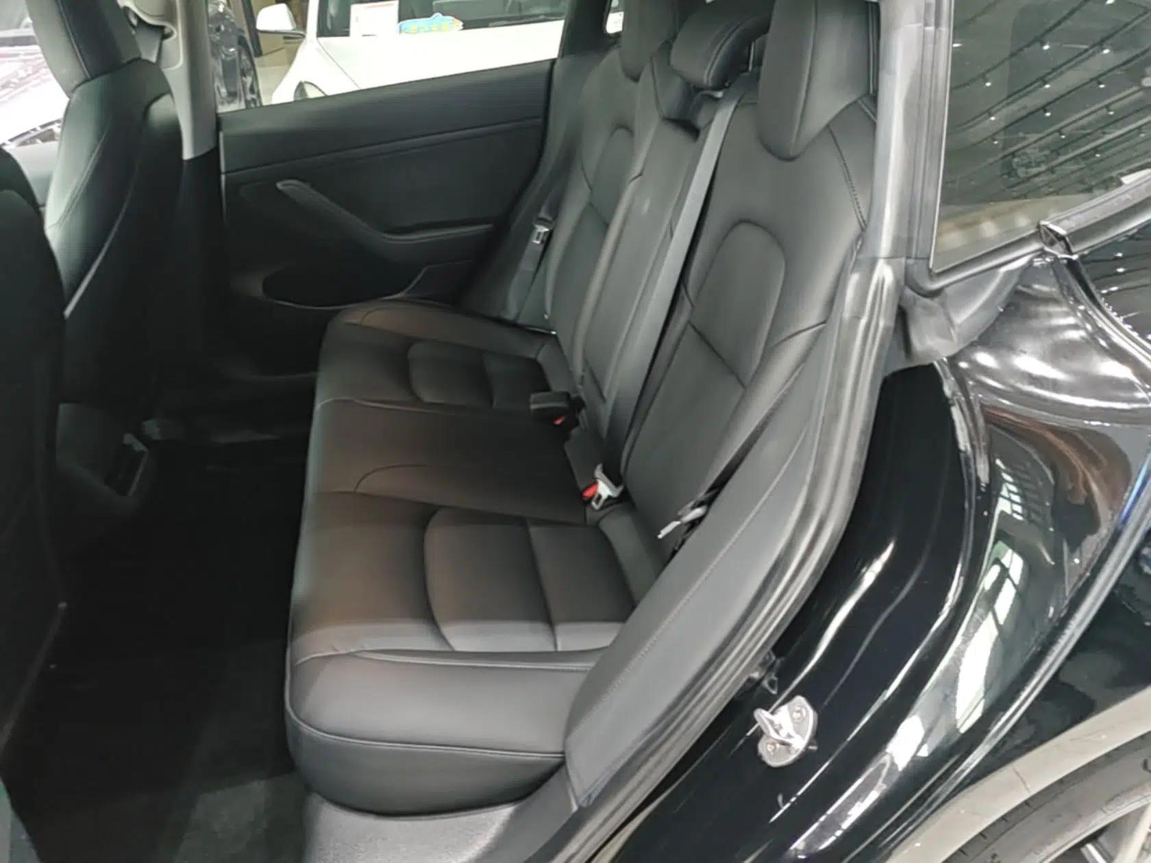 Tesla Model 3 2021 Standard Range Rear-Drive Upgraded Version — миниатюра 20