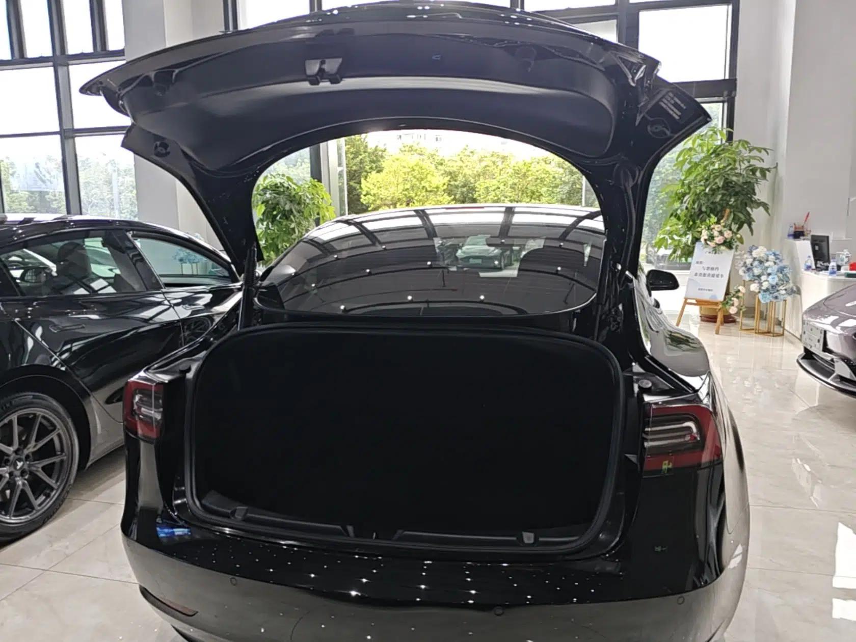 Tesla Model 3 2021 Standard Range Rear-Drive Upgraded Version — миниатюра 22