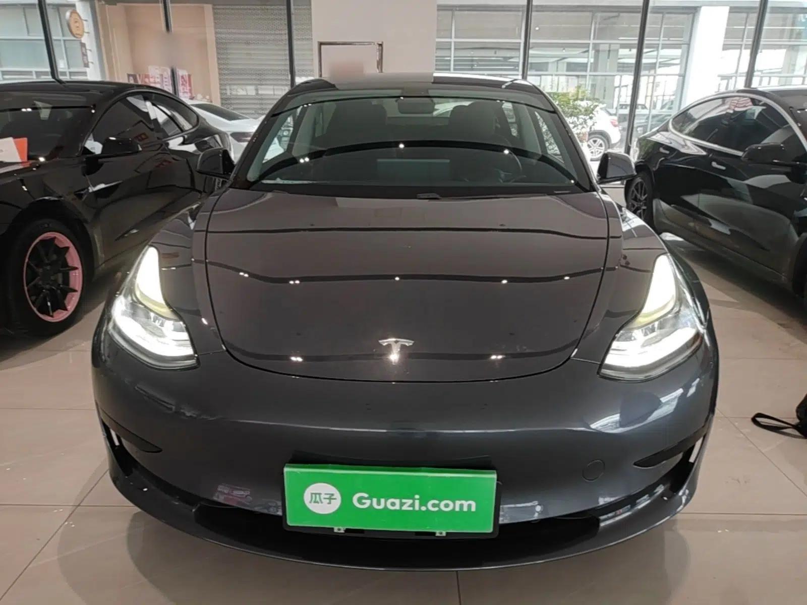 Tesla Model 3 2020 Revised Version Standard Range Rear-Wheel Drive – Upgraded Edition — миниатюра 2