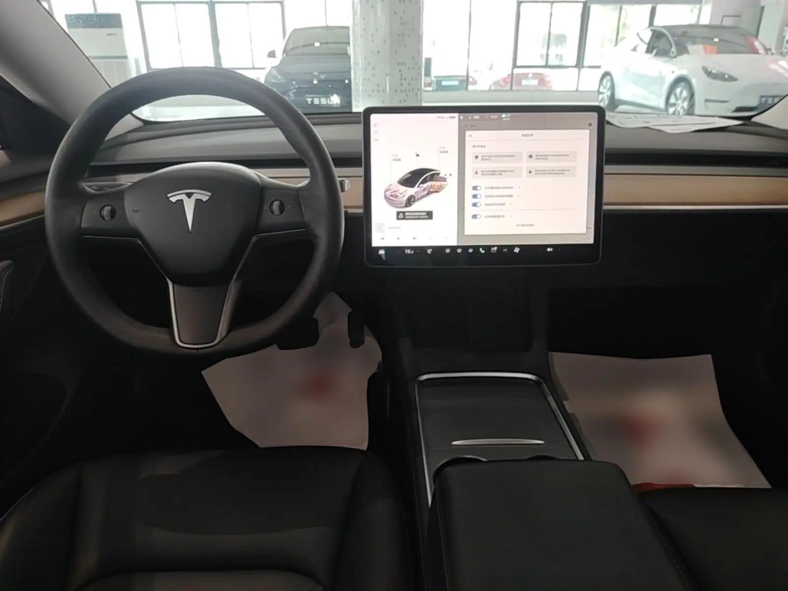 Tesla Model 3 2020 Revised Version Standard Range Rear-Wheel Drive – Upgraded Edition — миниатюра 12