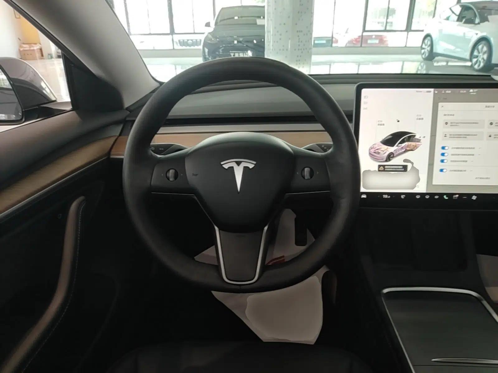 Tesla Model 3 2020 Revised Version Standard Range Rear-Wheel Drive – Upgraded Edition — миниатюра 13