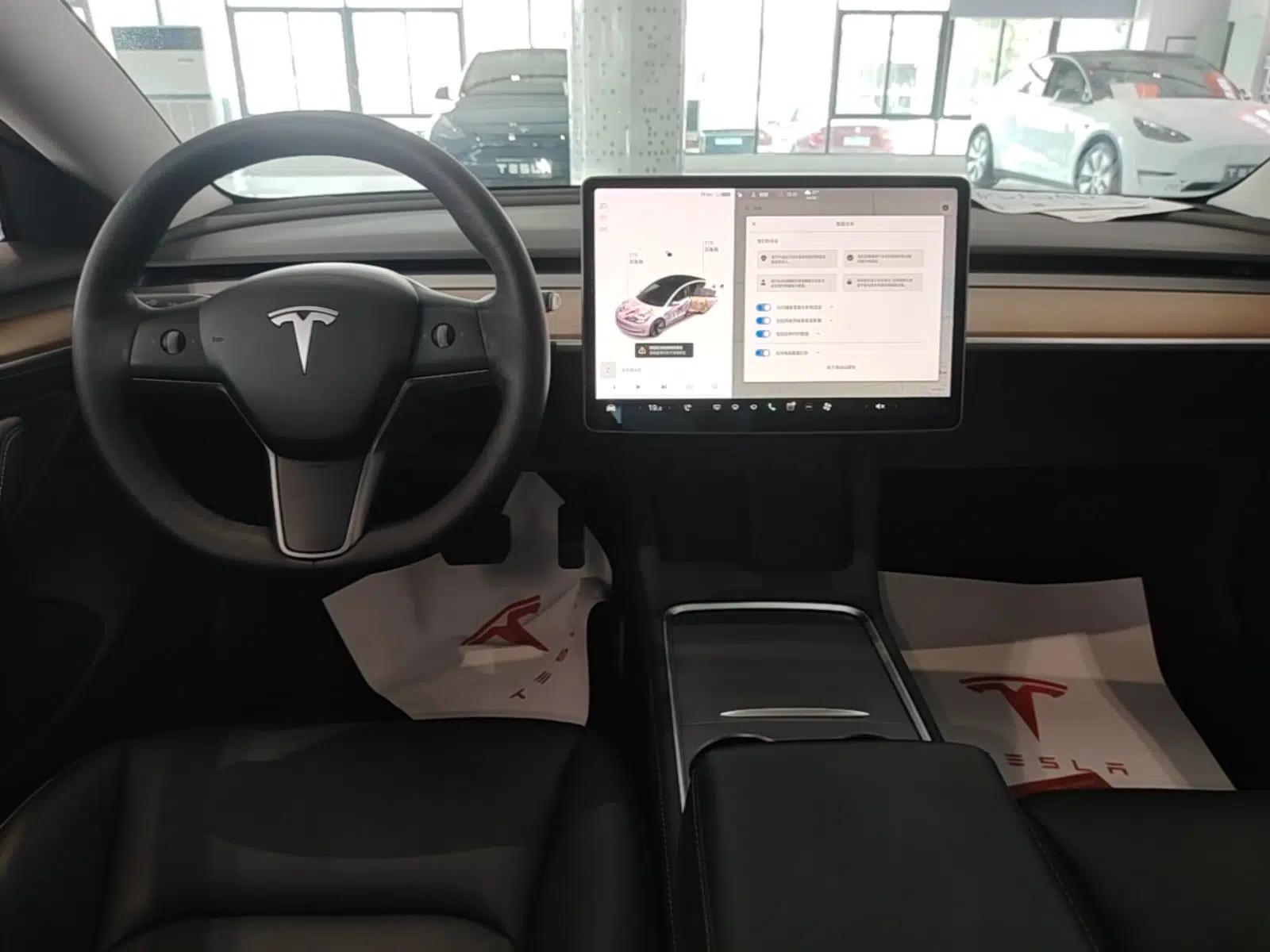 Tesla Model 3 2020 Revised Version Standard Range Rear-Wheel Drive – Upgraded Edition — миниатюра 15