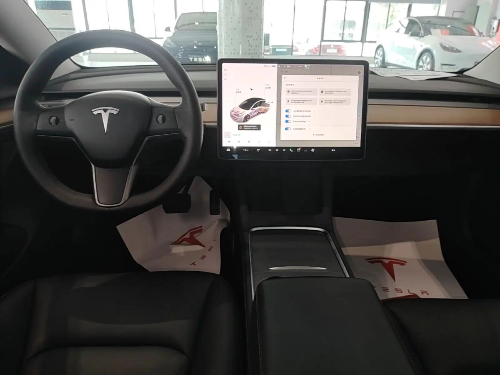 Tesla Model 3 2020 Revised Version Standard Range Rear-Wheel Drive – Upgraded Edition — миниатюра 16